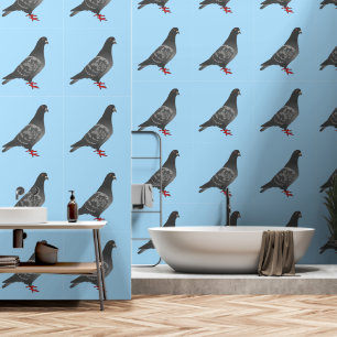Papier Peint Pigeon rocher sur Blue Sky