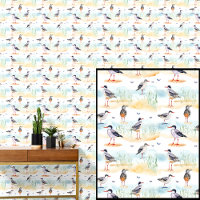 Plage Oiseaux Mouettes sur plage de sable avec vag