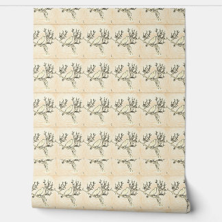 Papier Peint Poe gothique par jour