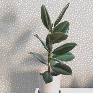 Papier Peint Points et Taches de Crème sur Gris