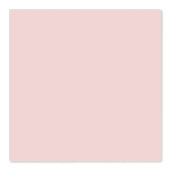 Papier Peint Rose Pâle Uni (Recto)