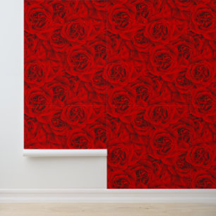 Papier Peint Roses Rouges Géantes Élégant Romantique Joli sans
