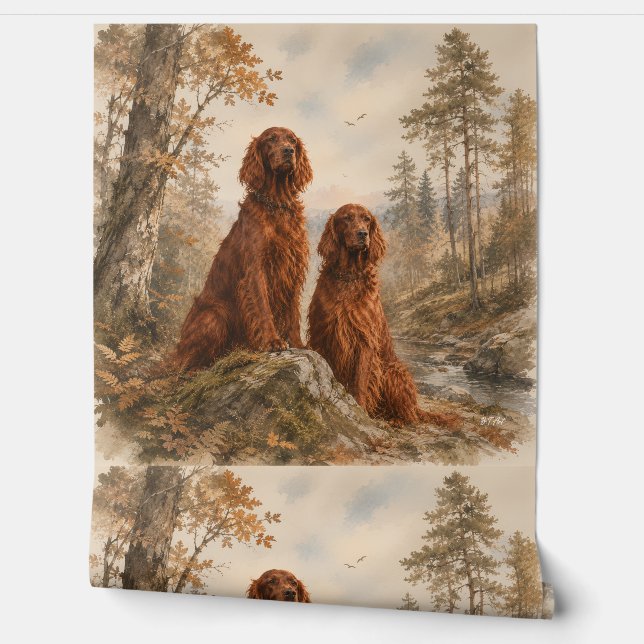 Papier Peint Setter irlandais   (Déroulement)
