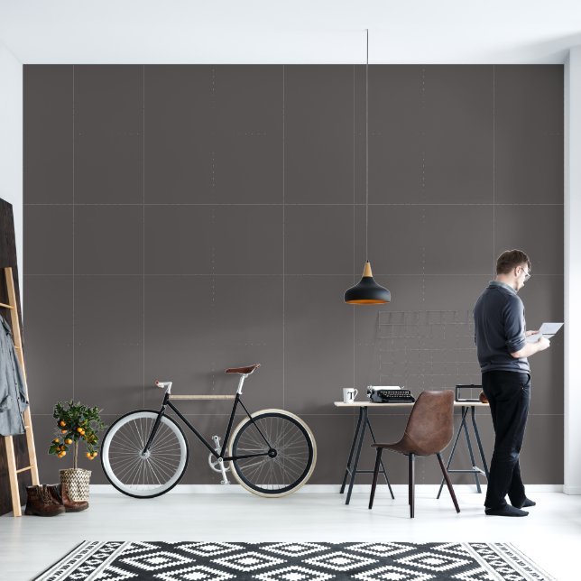 Papier Peint Sophistiqué gris foncé (Salon)