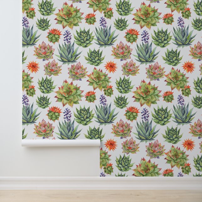 Papier Peint Succulents (Application)