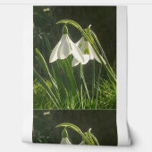 Papier peint Sunlit Snowdrops (Déroulement)