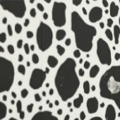 Papier Peint Tache noir et blanc moderne (Couture)