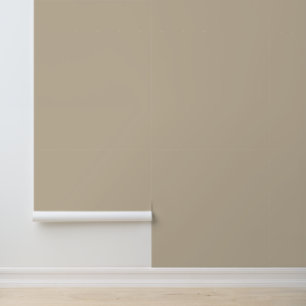 Papier Peint Taupe solide Plaque simple minimaliste neutre simp