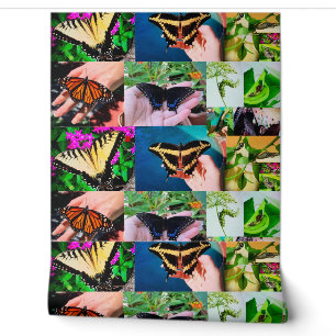 Papier Peint Vie papillon