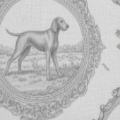 Papier Peint Weimaraner Vizsla Toile: Grayscale Hunting Dog (Couture)