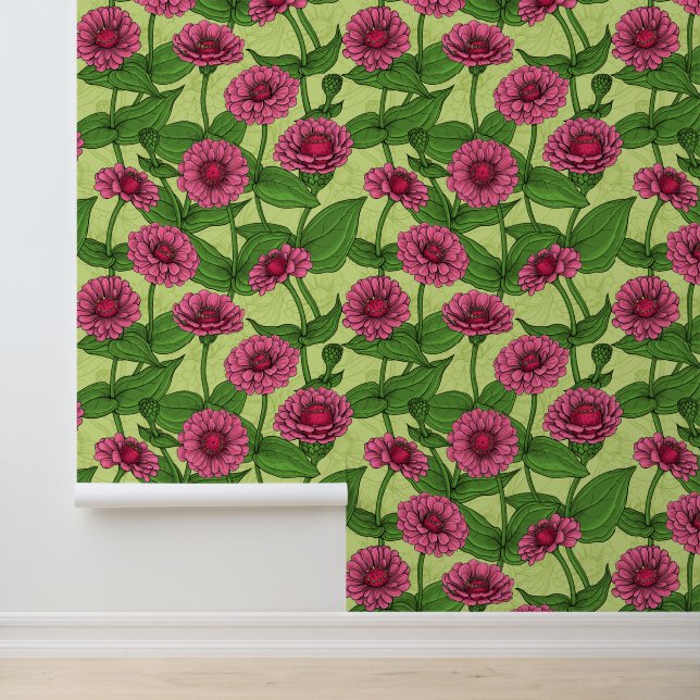 Papier Peint Zinnias roses sur fond vert clair (Application)
