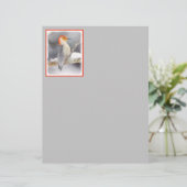 Papier Peinture de pic à ventre rouge Art original (Debout devant)