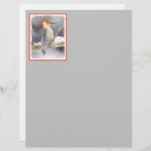 Papier Peinture de pic à ventre rouge Art original (Devant / Derrière)