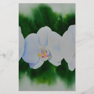 Papier Peinture élégante d'orchidée tropicale blanche à l