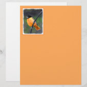 Papier Peinture Oriole - Art Oiseau Original (Devant / Derrière)