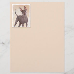 Papier Peinture Xoloitzcuintli - Cute Original Chien Art