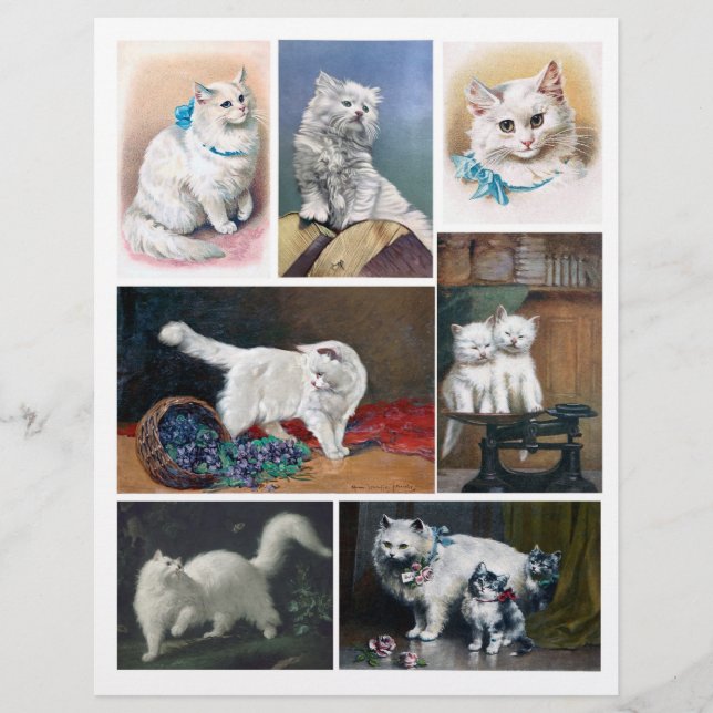 Papier Peintures Vintages pour chats blancs authentiques  (Devant)