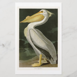 Papier Pélican blanc John James Audubon Oiseaux d'Amériqu