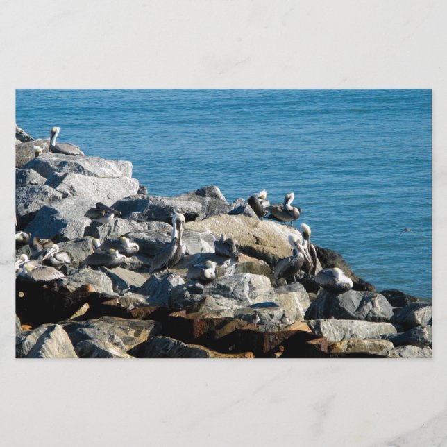 Papier Pélicans sur les rochers (Devant)