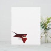 Papier Père Noël Manta (Debout devant)