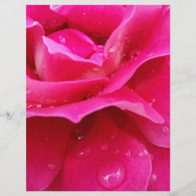 Papier pétales roses (Devant)