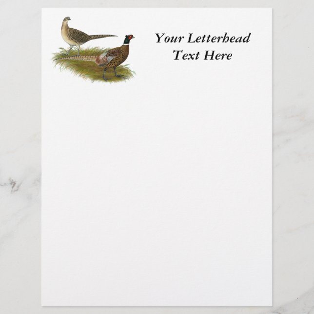 Papier Pheasant : Paire Ringneck (Devant)