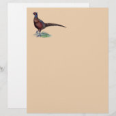 Papier Phéasant Strutt (Devant / Derrière)