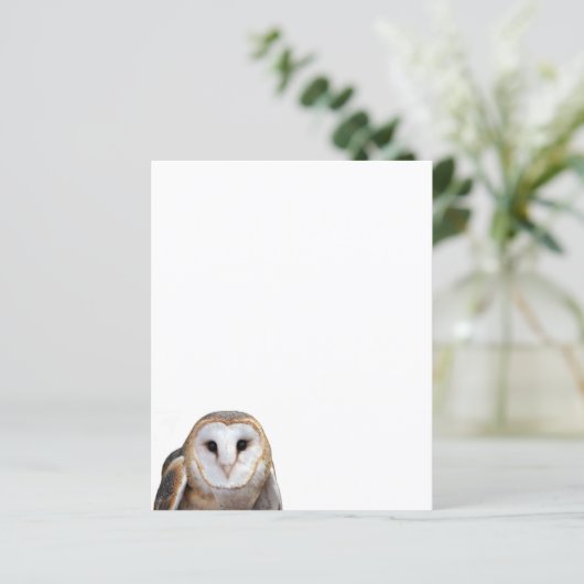 Papier photo Barn Owl (Debout devant)