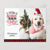 Papier Photo Budget La saison de Noël Jolly (Devant)