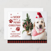 Papier Photo BUDGET Nous vous avons malmenés un joyeux No (Devant / Derrière)