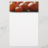 Papier Photo citrouille pour automne, Halloween ou Thanks (Devant)