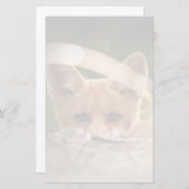 Papier Photo de Cute Little Orange Fox (Devant / Derrière)