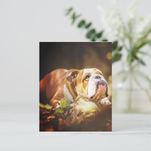 Papier Photo de la forêt de Bulldog en anglais (Debout devant)