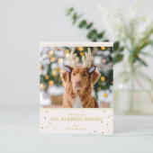 Papier Photo de Noël Budget (Debout devant)