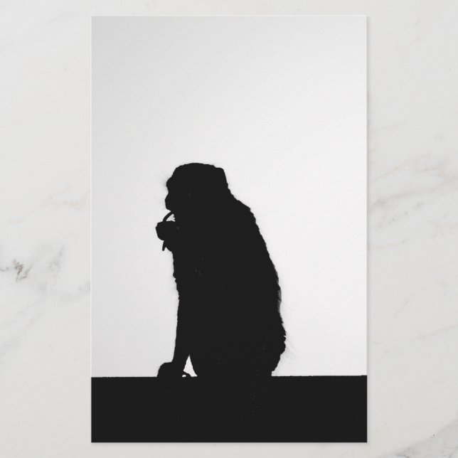 Papier Photo de silhouette de singe faisant la soie denta (Devant)