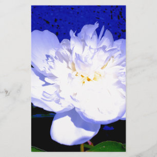 Papier Photo Peony blanc et violet