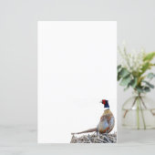 Papier photo Pheasant à cou à anneaux (Debout devant)