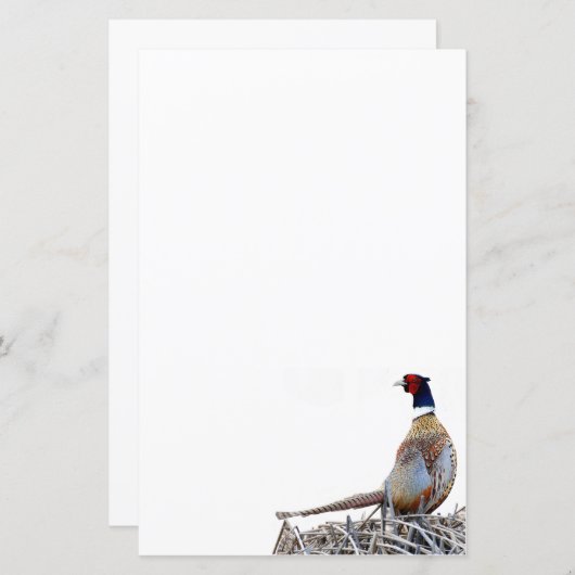 Papier photo Pheasant à cou à anneaux (Devant / Derrière)