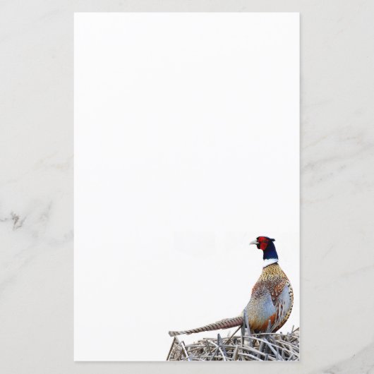 Papier photo Pheasant à cou à anneaux (Devant)