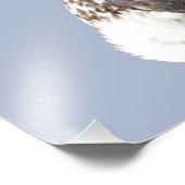 Papier photo professionnel Kodak 16x12 (satin) (Coin)