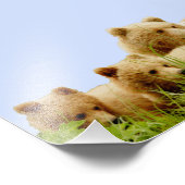 Papier photo professionnel Kodak 6 x 6 (satin) (Coin)