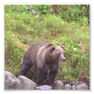 Papier photo professionnel Kodak 6 x 6 (satin)