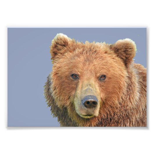 Papier photo professionnel Kodak 7x5 (satin) (Devant)