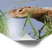 Papier photo professionnel Kodak 7x5 (satin) (Coin)