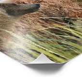 Papier photo professionnel Kodak de 10 po x 8 po ( (Coin)