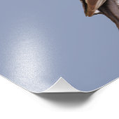 Papier photo professionnel Kodak de 14 po x 11 po  (Coin)