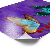 Papier photo professionnel Kodak de 6 po x 4 po (s (Coin)