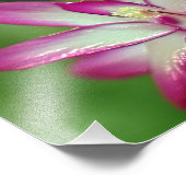 Papier photo professionnel Kodak de 7 po x 5 po (s (Coin)