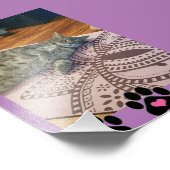 Papier photo professionnel Kodak (Satin) (Coin)