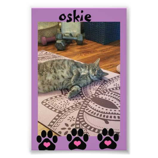 Papier photo professionnel Kodak (Satin) (Devant)